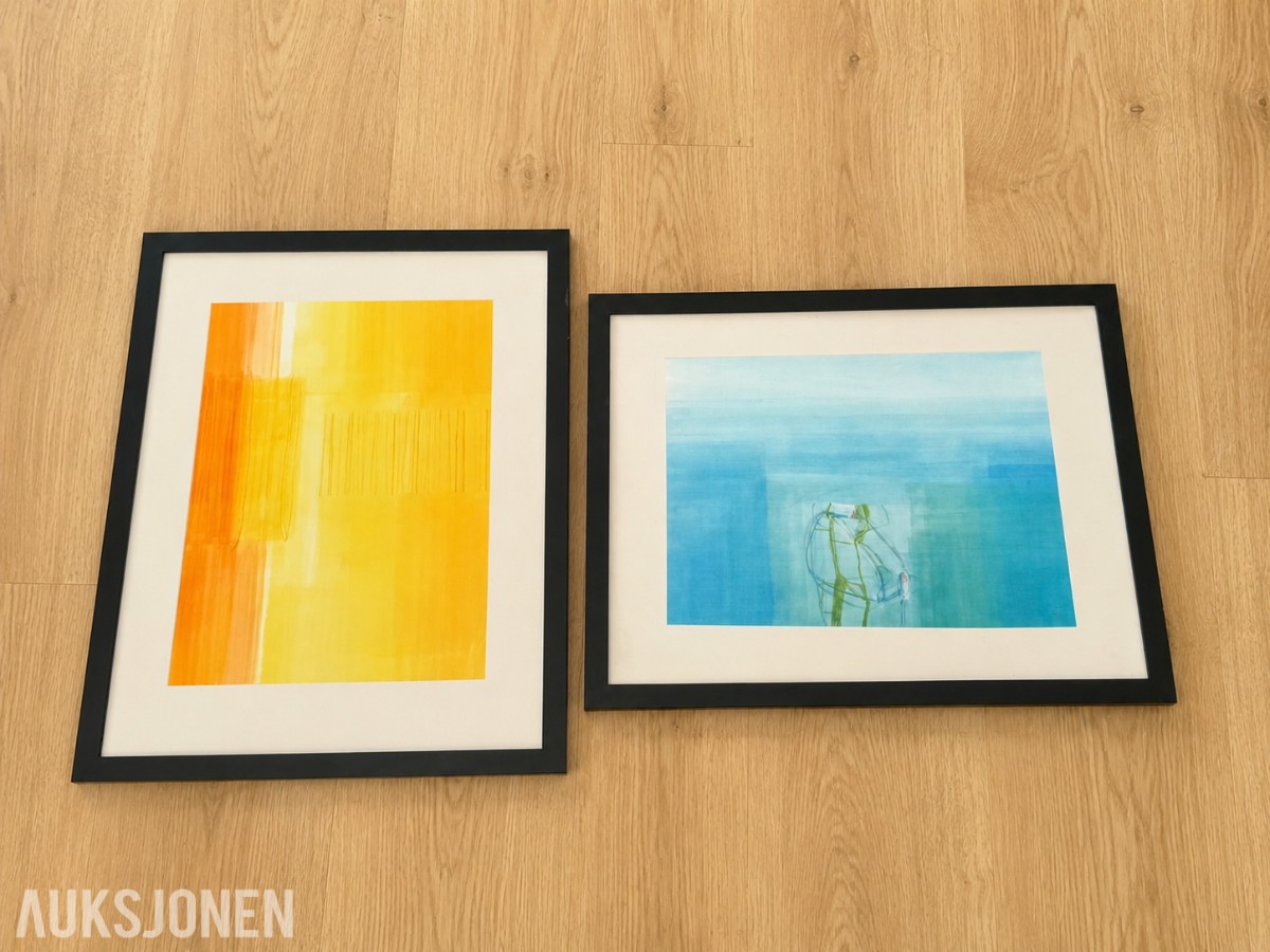 2 innrammede kunsttrykk av Susanne Stähli