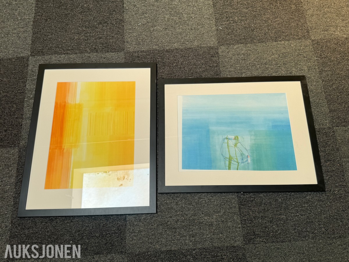 2 innrammede kunsttrykk av Susanne Stähli