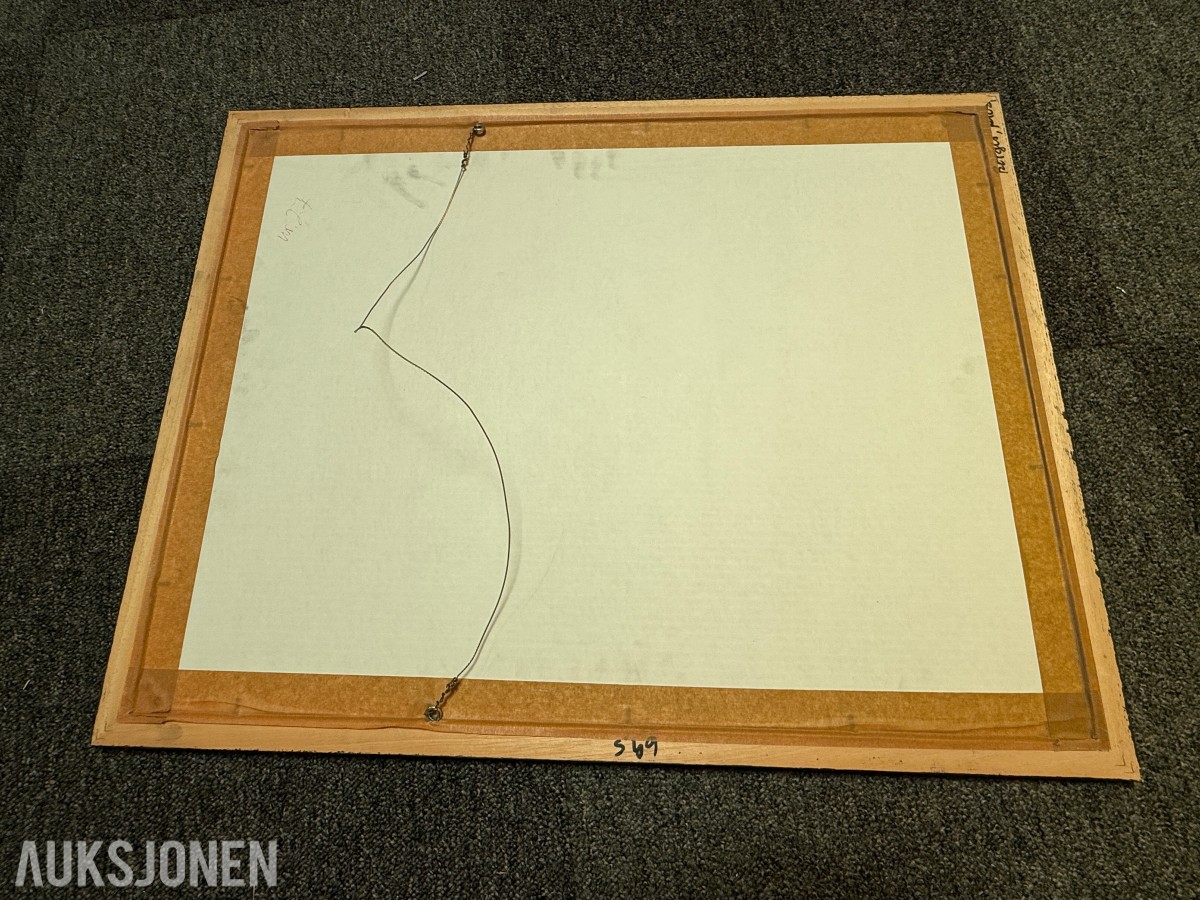 2 innrammede kunsttrykk av Susanne Stähli