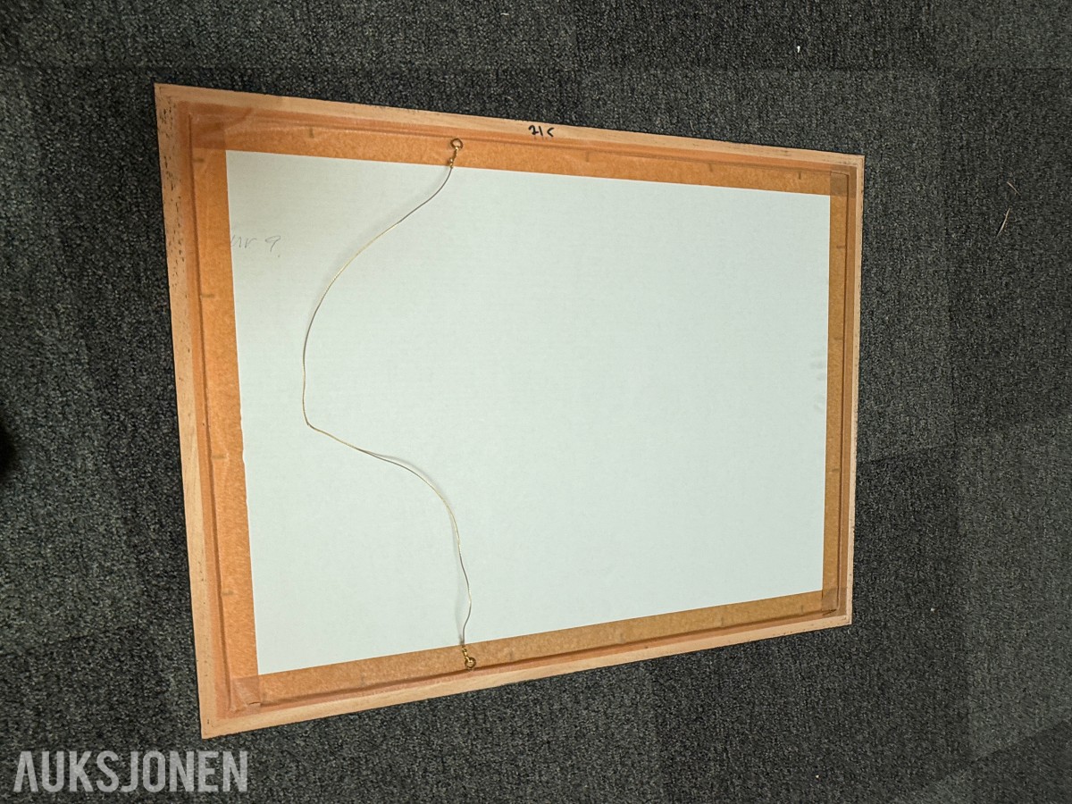 2 innrammede kunsttrykk av Susanne Stähli