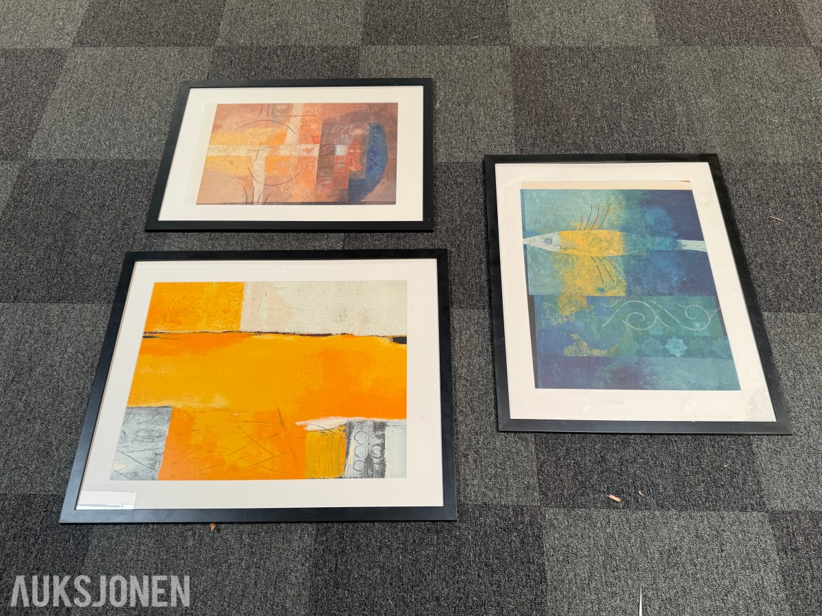 3 innrammede kunsttrykk av Astrid Heincke
