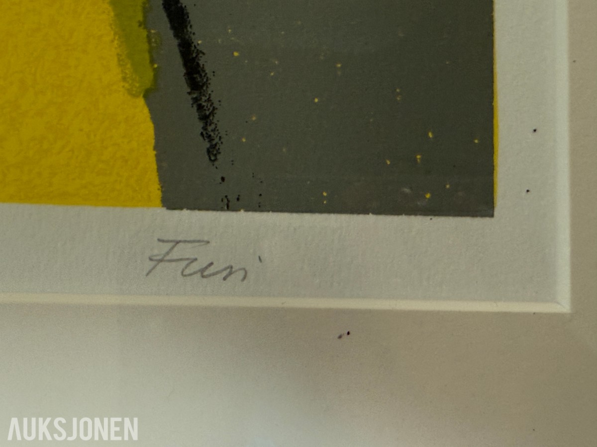 4 innrammede grafiske trykk av Walter Fusi