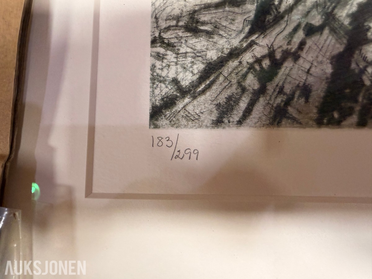 Espolin Johnson litografi «183/299» – innrammet originalgrafikk - INGEN MINSTEPRIS