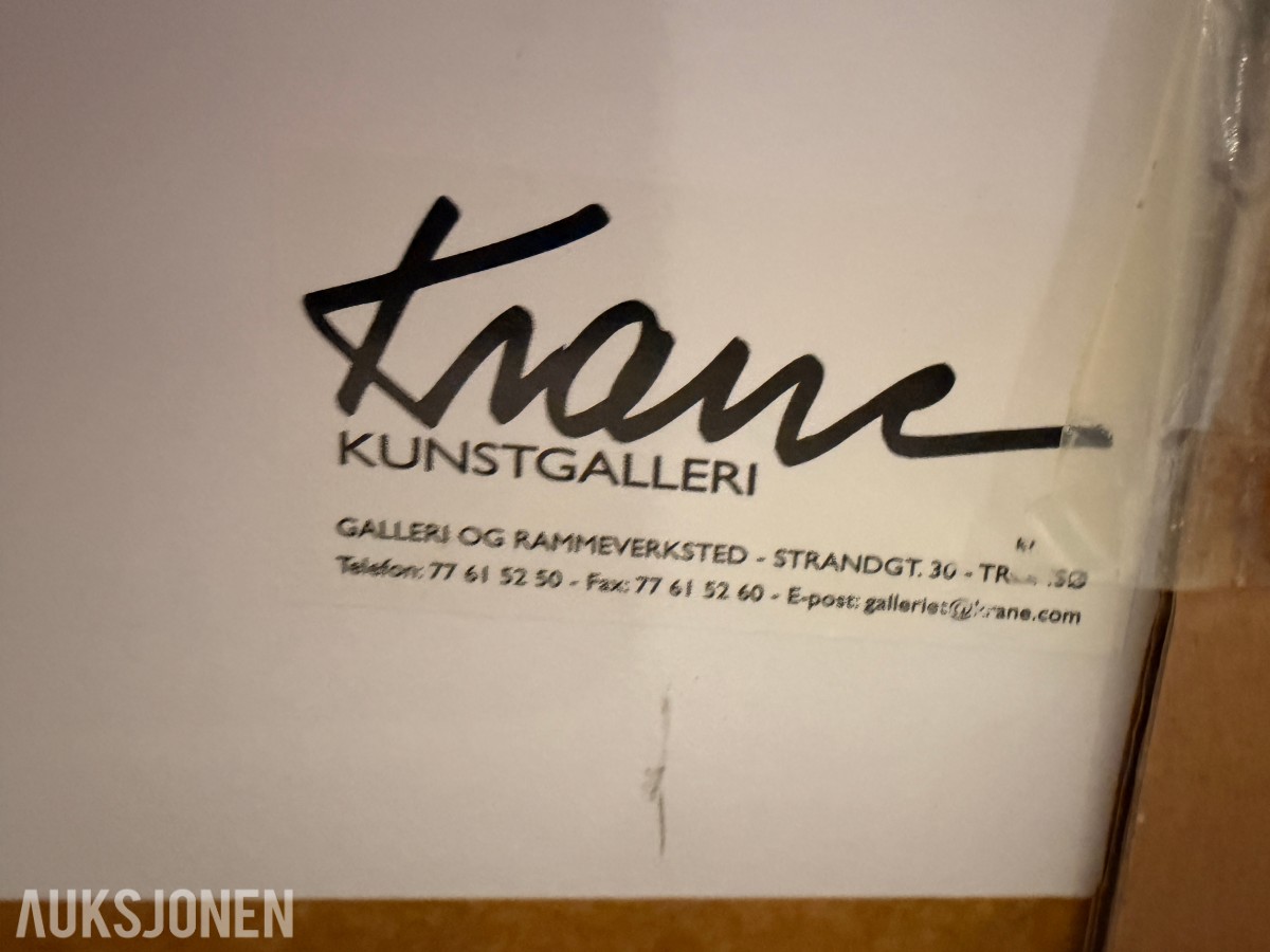 Espolin Johnson litografi «183/299» – innrammet originalgrafikk - INGEN MINSTEPRIS