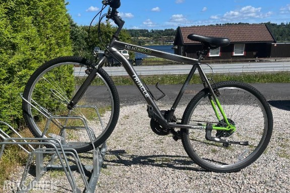 Sykkelstativ Profesjonell 