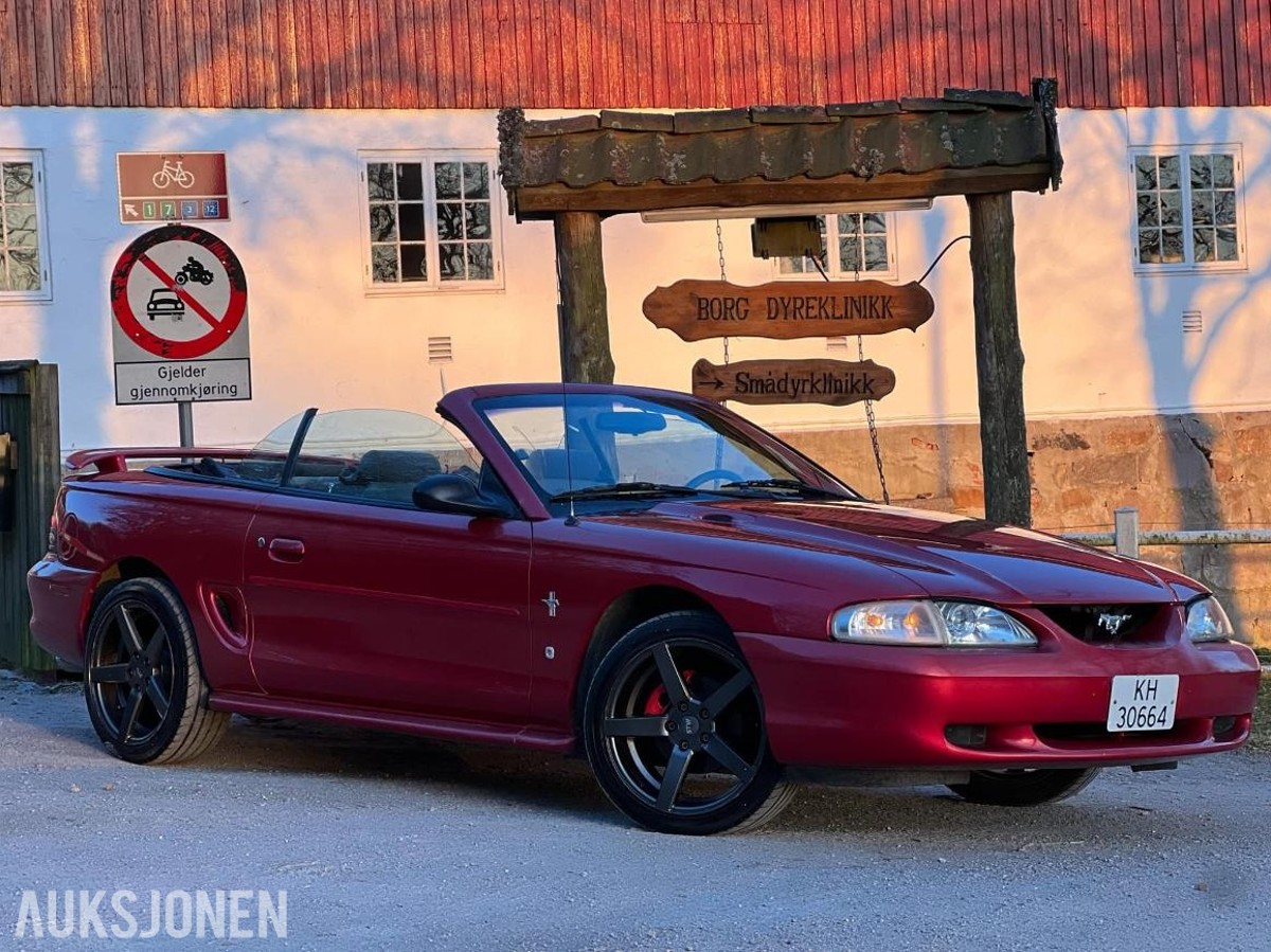 Mustang
