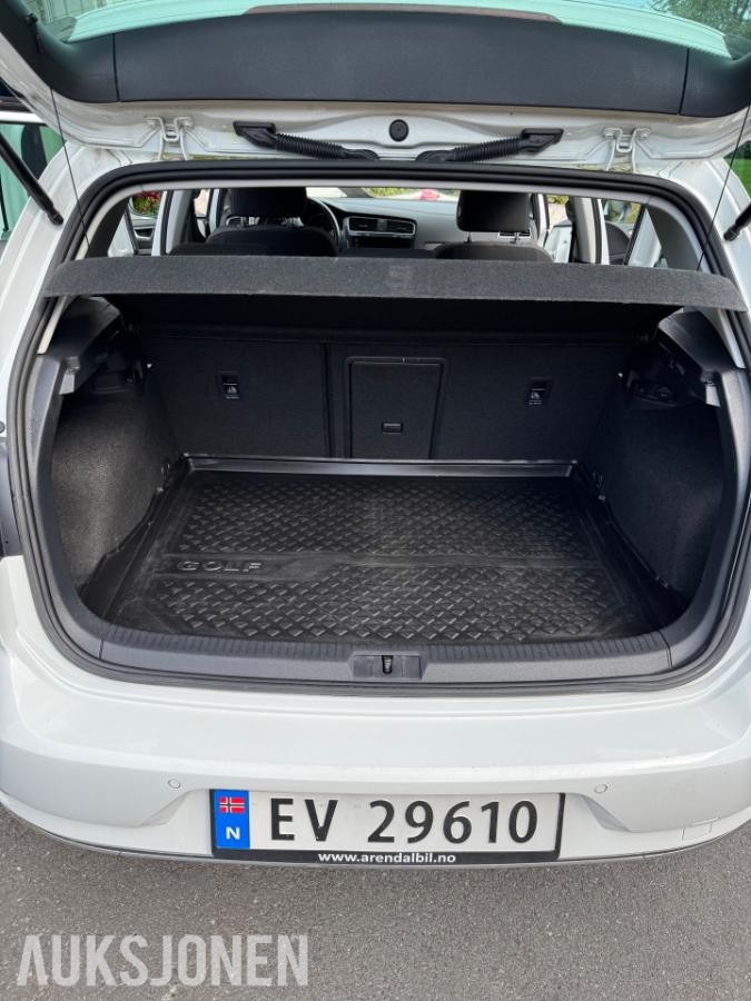 2019 Volkswagen E-Golf 136hk automat 103000km EU OK 07.2028