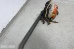 Stihl BR 500 ryggbåret bensindrevet løvblåser