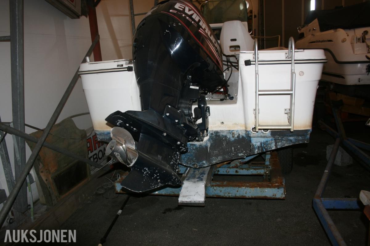 1995 Båt - Bayliner Trophy 19 fot, med Evinrude 225HK