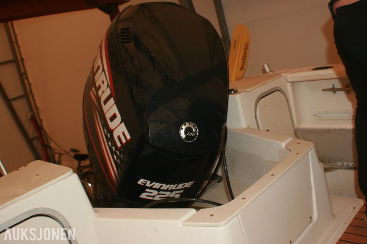 1995 Båt - Bayliner Trophy 19 fot, med Evinrude 225HK