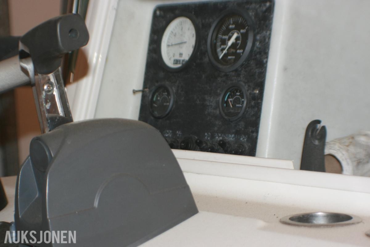 1995 Båt - Bayliner Trophy 19 fot, med Evinrude 225HK