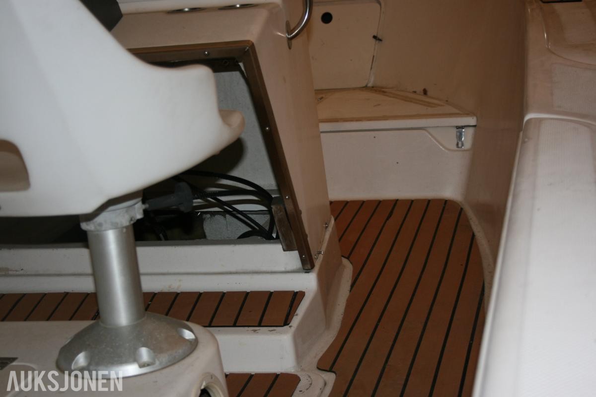 1995 Båt - Bayliner Trophy 19 fot, med Evinrude 225HK