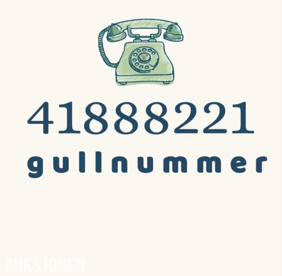 Gullnummer: 41888221