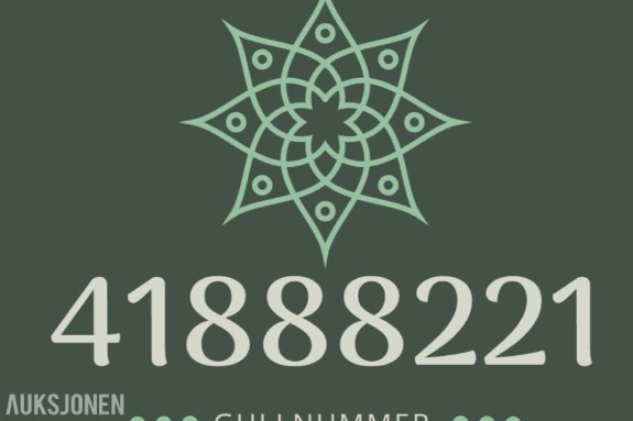 Gullnummer: 41888221